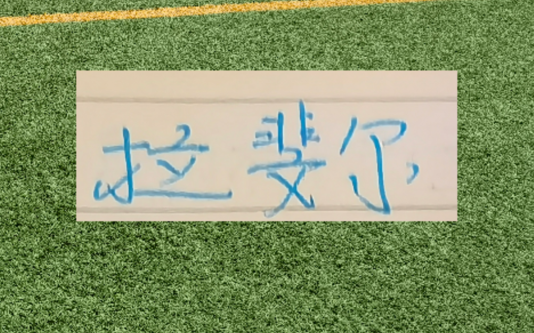 彩票合买-第一个赛季马莱莱进15个 路易斯21个 申花两条大鱼能进几个？